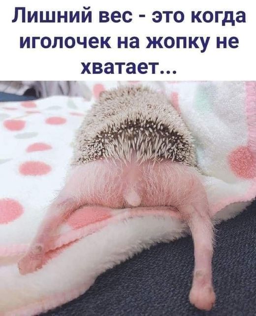Картинки на четверг 28.10.2021