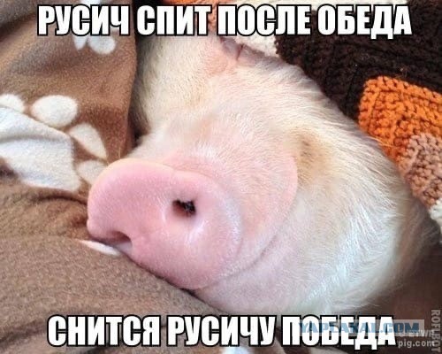 На тему "Какие нехорошие поляки" - обижают "батьку"