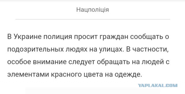 А чем заняты патриоты Украины в ожидании неминуемого наступления Путина?
