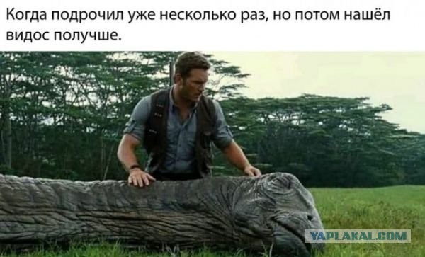 Немного пошлых картинок с надписями