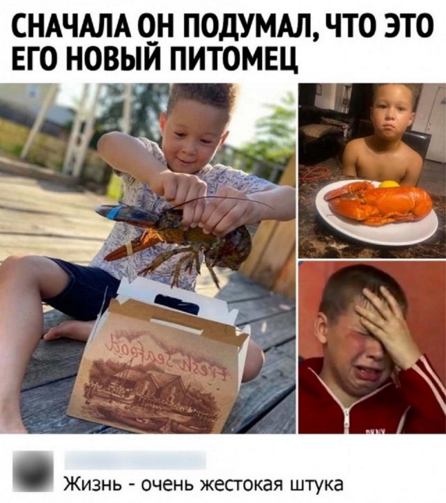 Картинки и мемы для настроения - 14