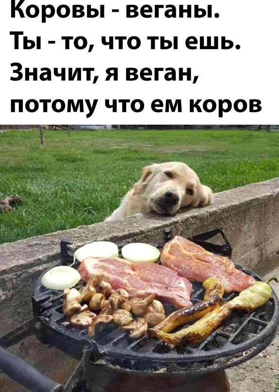 Весёлый полтишок 5.08.22