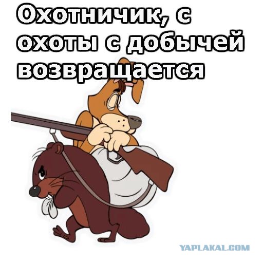 Опыт получен!