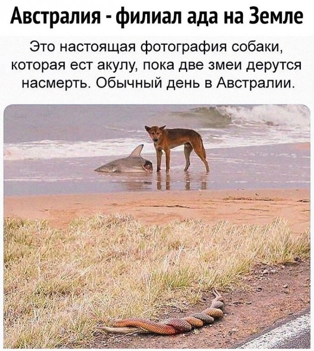 Немного картинок для настроения - 137