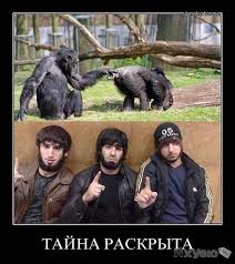 Бойцы ММА высказались по поводу слов Макса Дивнича