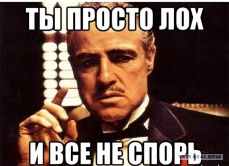 17903361.jpg