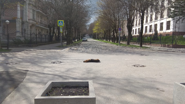 Опять зима
