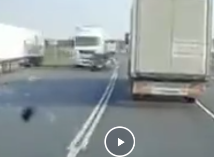 Водитель легковушки натурально в рубашке родился