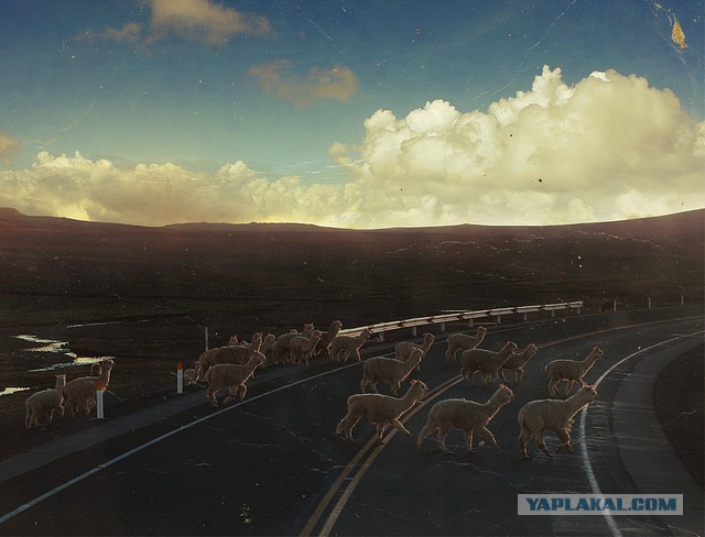 Латинская америка: правила жизни в путешествии