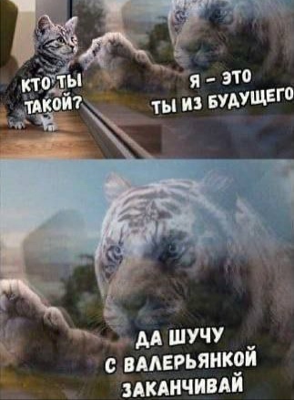 Завалялось тут случайно немного забавных картинок