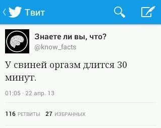 Каким зверьком вы предпочли бы стать на один день? Если бы такое было возможно! Развлекательная ЯПовская голосовалка.