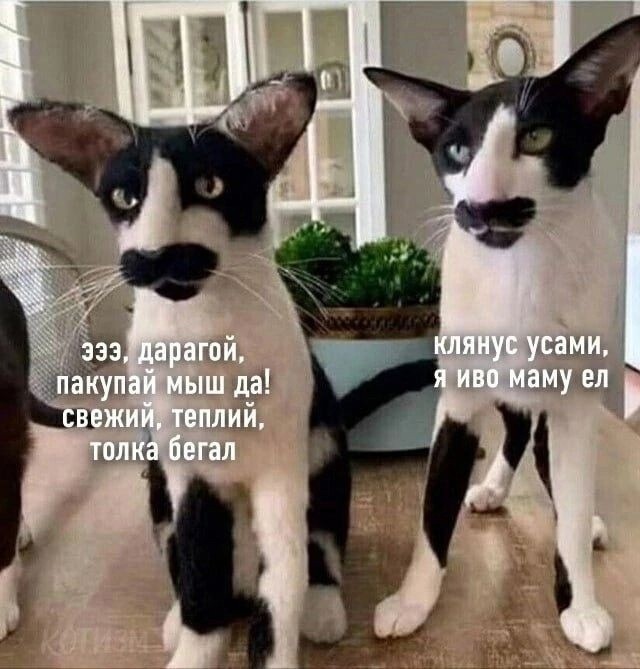 Так себе картинки 29.12.24