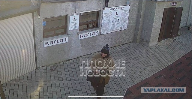 В Крыму мужчина сбросил кошку Мусю со смотровой площадки Ласточкиного Гнезда