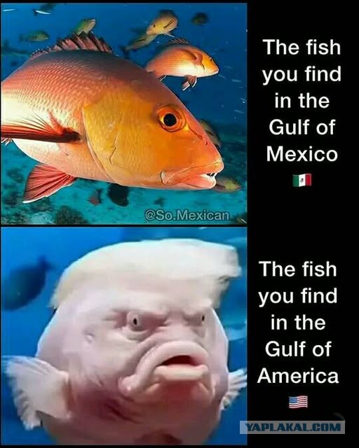 У меня муж дома