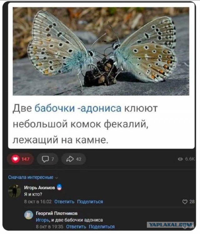 Маленькая пятница 19.03.25