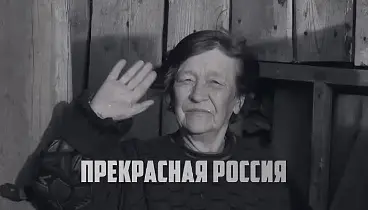Салоны оптики теряют клиентов из-за демпинга маркетплейсов