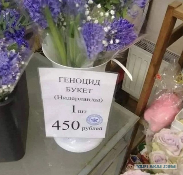 Нимношка картинкоф на субботу