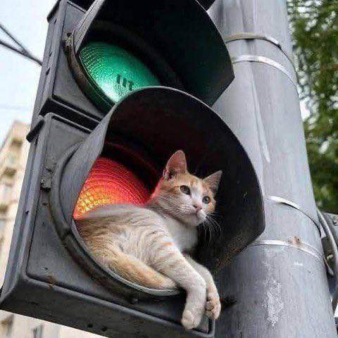 Всякое разное.