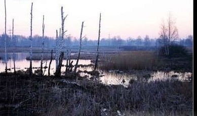 Ловим рыбу(ключ) в мутной воде