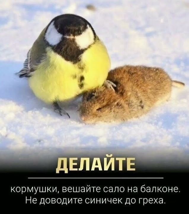 Немного картинок накануне выходных