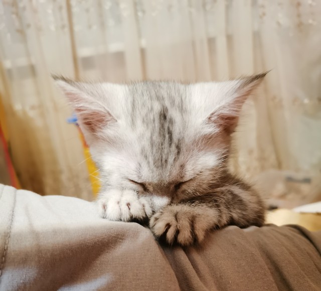 Знаю, что не вторник!