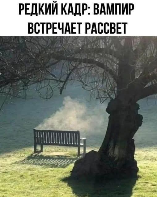 Воскресные картинки