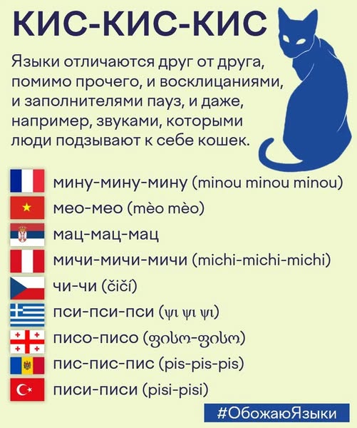 Картинки для деградации 100 (разной степени свежести)