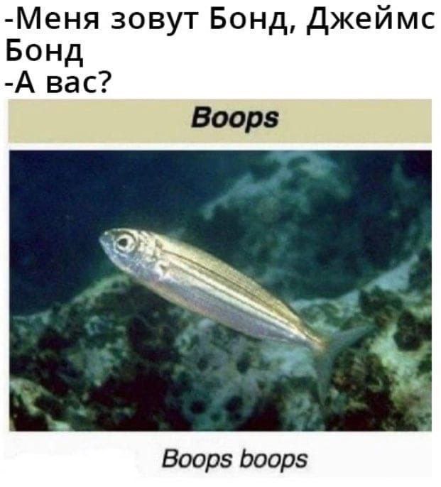 Дегрономикон  депрессивный 3