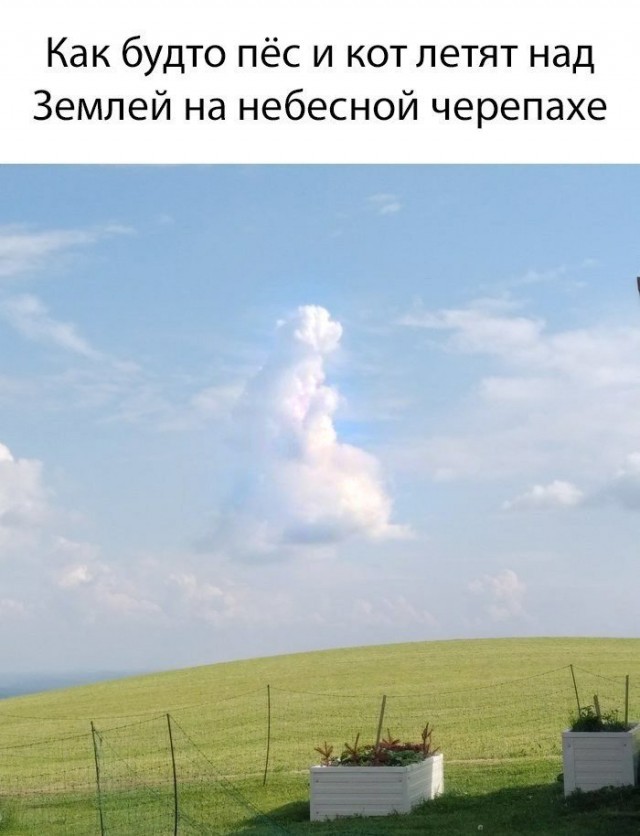 Субботние картинки