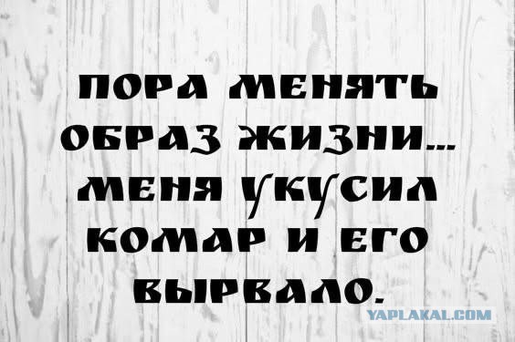 Картинки для улыбки