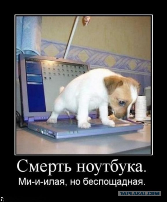 Личный сборник демотиваторов [~25]
