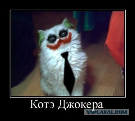 Собака Джокера