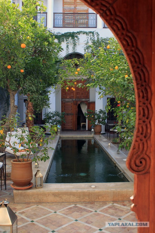 Новогодняя ночь в пустыне Сахара