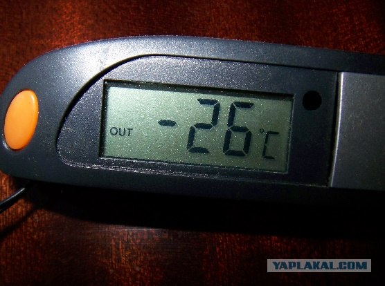 Солнечная сторона лета 2010 года