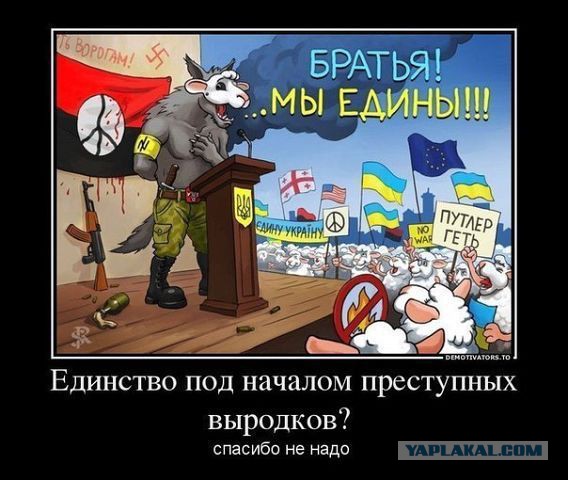 Украина. Бросок кобры!