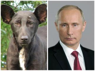 Ассоциативный ряд