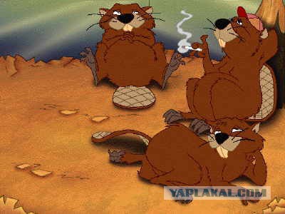 Добряки, плюсующие всех подряд