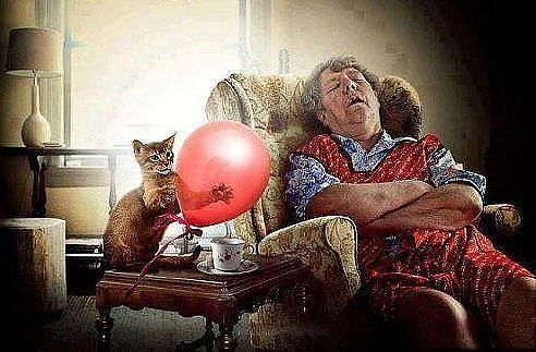 25 доказательств что детям нужны домашние животные