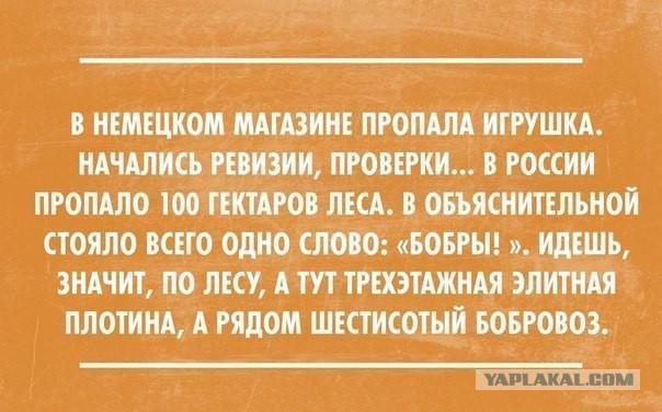 А вот и новые картинки!