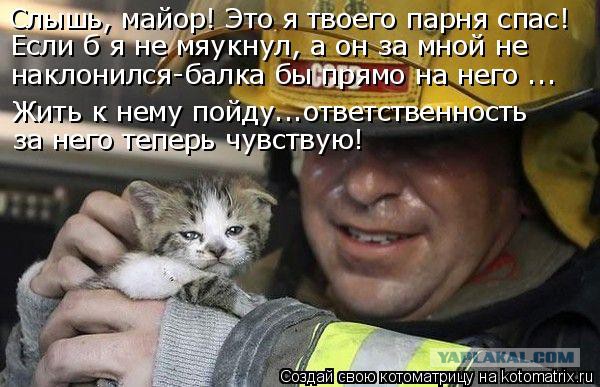 Тульские огнеборцы "откачали" кошку