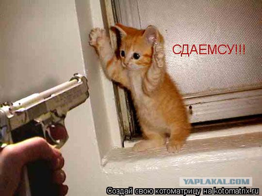 Тем временем на Украине