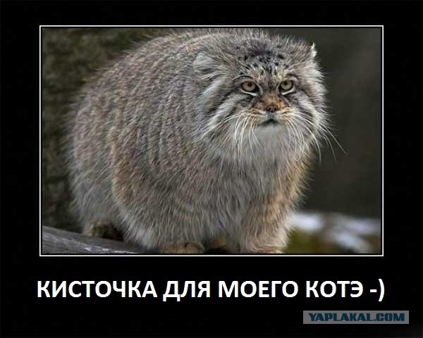 Что можно подарить человеку, у которого все есть?