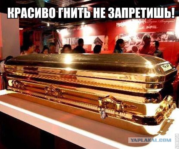 4932361.jpg