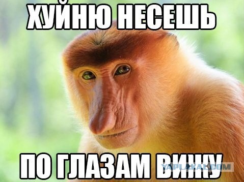 Радость и разочарование