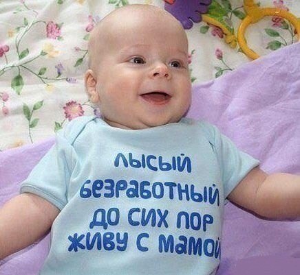 Весёлые картинки