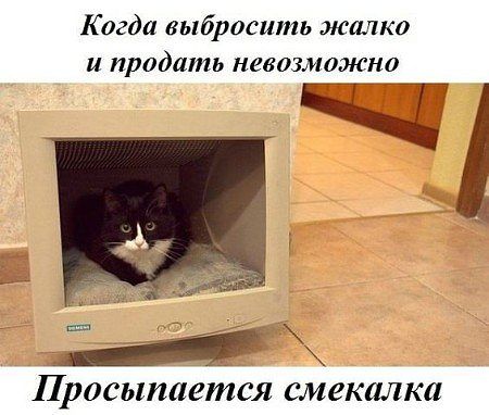 Веселости или типо того