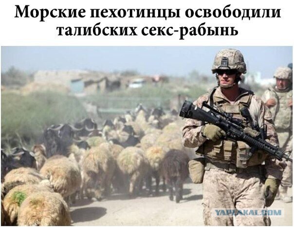 Весёлости