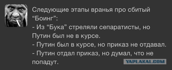 Доказано: малазийский Боинг сбили Украинцы.