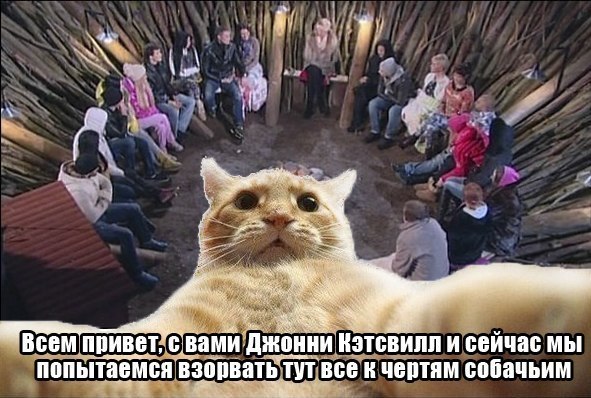 Осторожно! ДОМ2