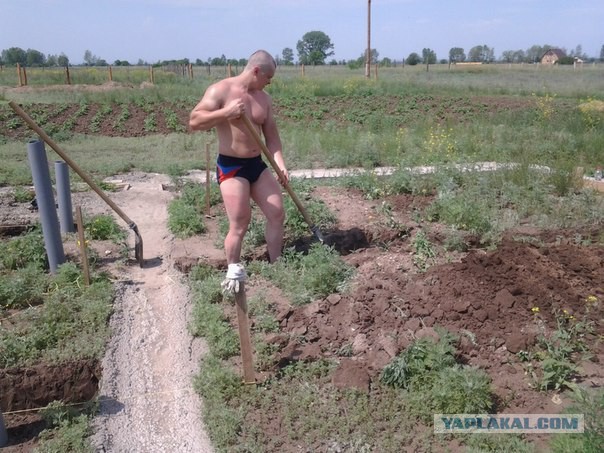 Строительство дома